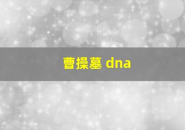 曹操墓 dna